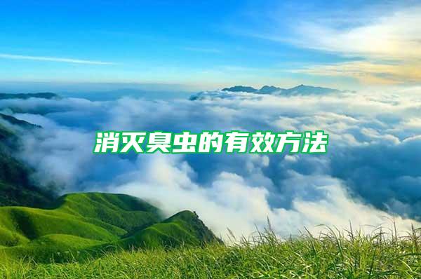 消滅臭蟲(chóng)的有效方法