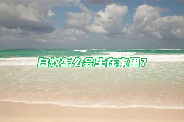 白蟻怎么會(huì)生在家里？