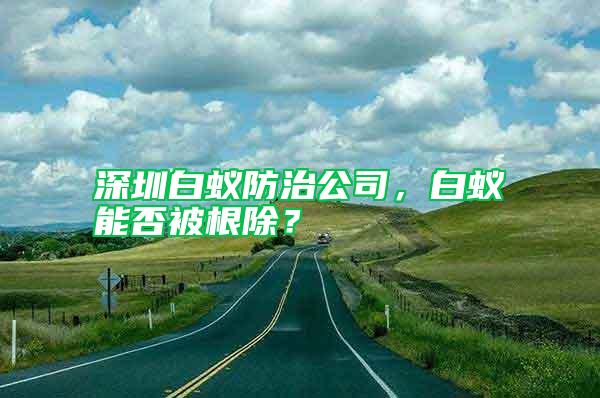 深圳白蟻防治公司，白蟻能否被根除？