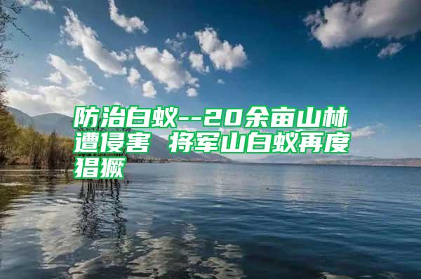 防治白蟻--20余畝山林遭侵害 將軍山白蟻再度猖獗