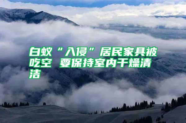 白蟻“入侵”居民家具被吃空 要保持室內(nèi)干燥清潔