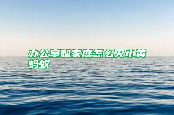 辦公室和家庭怎么滅小黃螞蟻