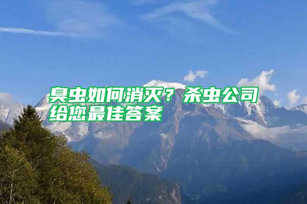 臭蟲如何消滅？殺蟲公司給您最佳答案