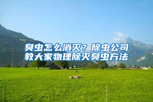 臭蟲(chóng)怎么消滅？除蟲(chóng)公司教大家物理除滅臭蟲(chóng)方法