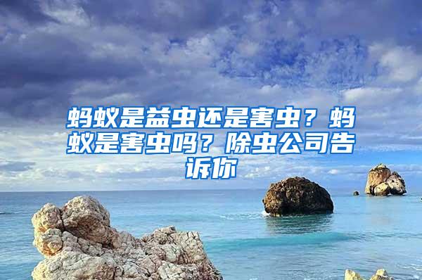 螞蟻是益蟲還是害蟲？螞蟻是害蟲嗎？除蟲公司告訴你