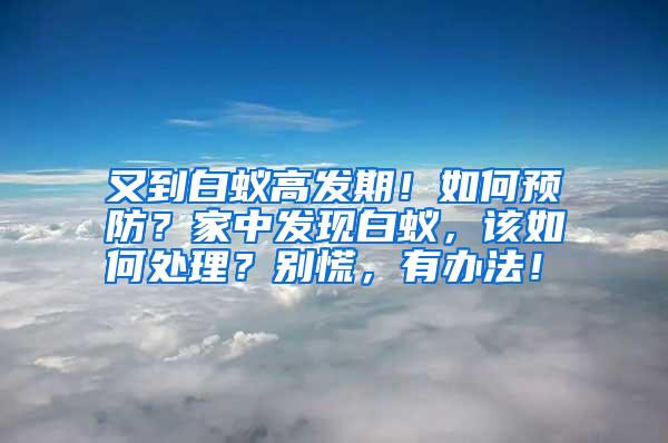 又到白蟻高發(fā)期！如何預(yù)防？家中發(fā)現(xiàn)白蟻，該如何處理？別慌，有辦法！