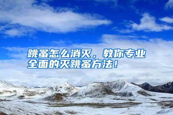 跳蚤怎么消滅，教你專業(yè)全面的滅跳蚤方法！