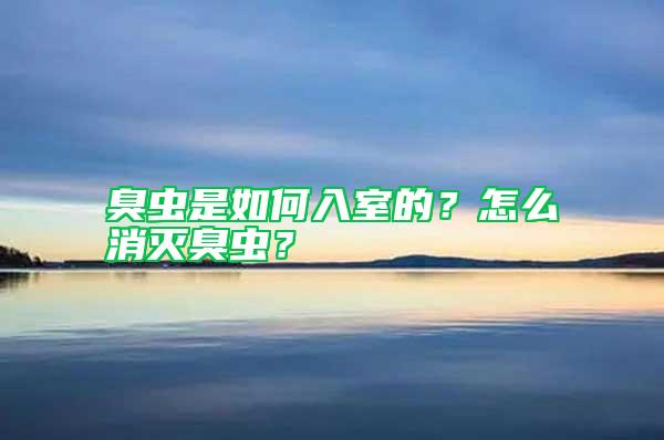 臭蟲是如何入室的？怎么消滅臭蟲？