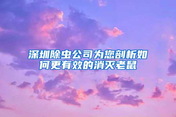 深圳除蟲公司為您剖析如何更有效的消滅老鼠