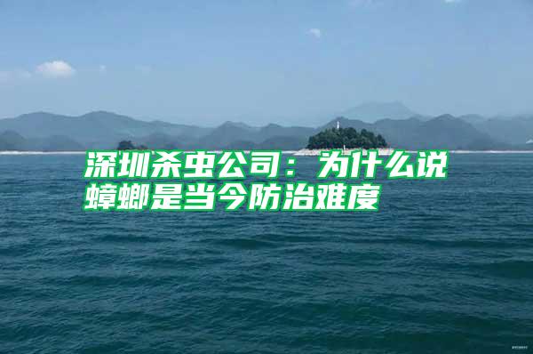 深圳殺蟲公司：為什么說蟑螂是當今防治難度