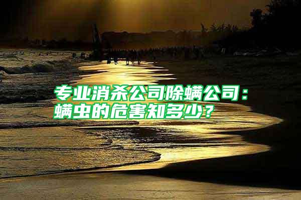 專業(yè)消殺公司除螨公司：螨蟲的危害知多少？