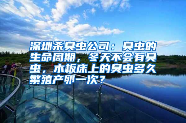 深圳殺臭蟲公司：臭蟲的生命周期，冬天不會(huì)有臭蟲，木板床上的臭蟲多久繁殖產(chǎn)卵一次？