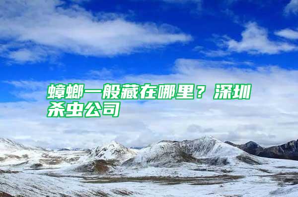 蟑螂一般藏在哪里？深圳殺蟲公司