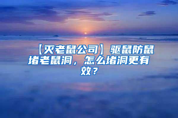 【滅老鼠公司】驅(qū)鼠防鼠堵老鼠洞，怎么堵洞更有效？