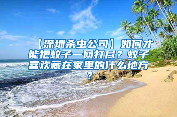 【深圳殺蟲公司】如何才能把蚊子一網(wǎng)打盡？蚊子喜歡藏在家里的什么地方？