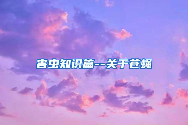 害蟲知識篇--關(guān)于蒼蠅