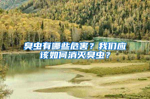 臭蟲有哪些危害？我們應(yīng)該如何消滅臭蟲？