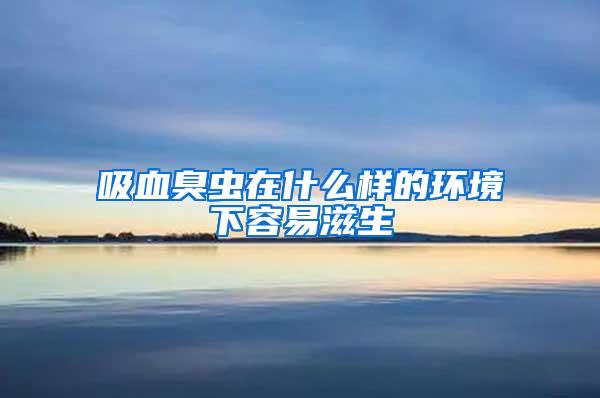 吸血臭蟲(chóng)在什么樣的環(huán)境下容易滋生