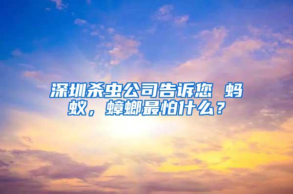 深圳殺蟲公司告訴您 螞蟻，蟑螂最怕什么？