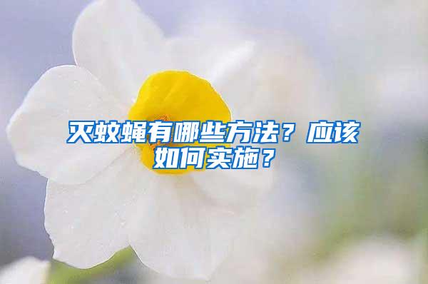 滅蚊蠅有哪些方法？應(yīng)該如何實(shí)施？