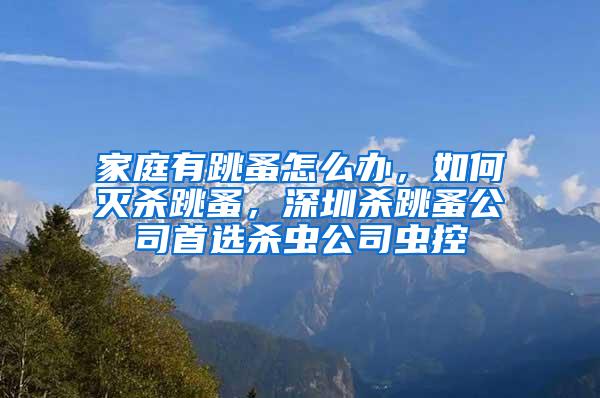 家庭有跳蚤怎么辦，如何滅殺跳蚤，深圳殺跳蚤公司首選殺蟲公司蟲控