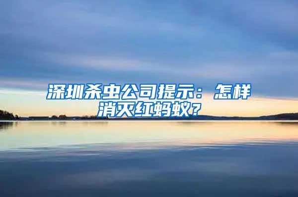 深圳殺蟲公司提示：怎樣消滅紅螞蟻？