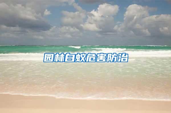 園林白蟻危害防治