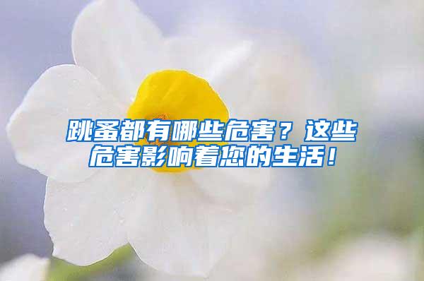 跳蚤都有哪些危害？這些危害影響著您的生活！