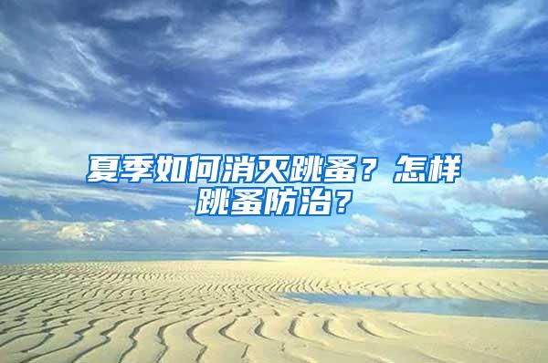 夏季如何消滅跳蚤？怎樣跳蚤防治？