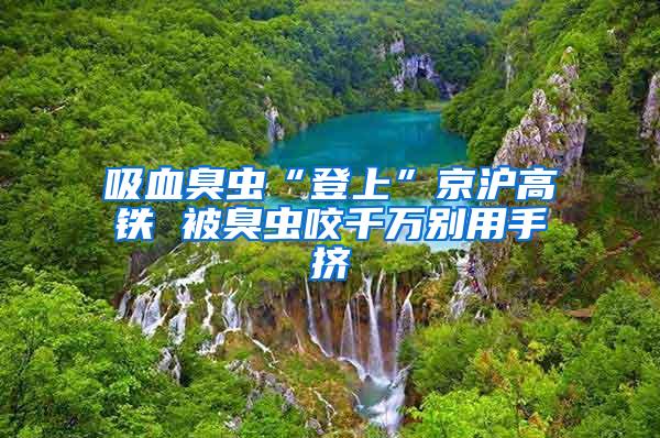 吸血臭蟲“登上”京滬高鐵 被臭蟲咬千萬別用手?jǐn)D