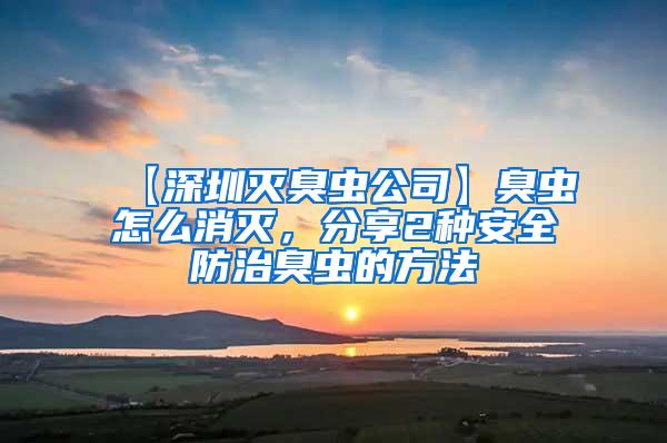 【深圳滅臭蟲公司】臭蟲怎么消滅，分享2種安全防治臭蟲的方法