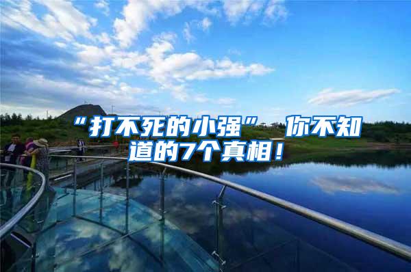 “打不死的小強(qiáng)” 你不知道的7個(gè)真相！