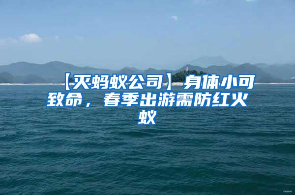 【滅螞蟻公司】身體小可致命，春季出游需防紅火蟻