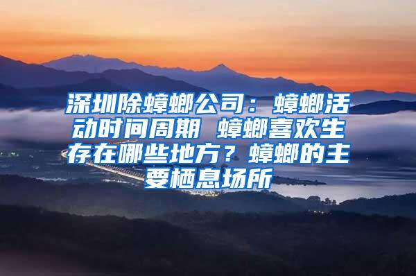 深圳除蟑螂公司：蟑螂活動時間周期 蟑螂喜歡生存在哪些地方？蟑螂的主要棲息場所