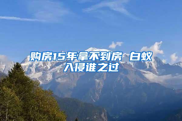 購房15年拿不到房 白蟻入侵誰之過