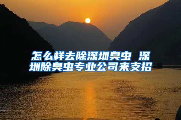 怎么樣去除深圳臭蟲 深圳除臭蟲專業(yè)公司來支招