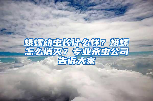 蛾蠓幼蟲(chóng)長(zhǎng)什么樣？蛾蠓怎么消滅？專業(yè)殺蟲(chóng)公司告訴大家