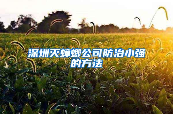 深圳滅蟑螂公司防治小強(qiáng)的方法