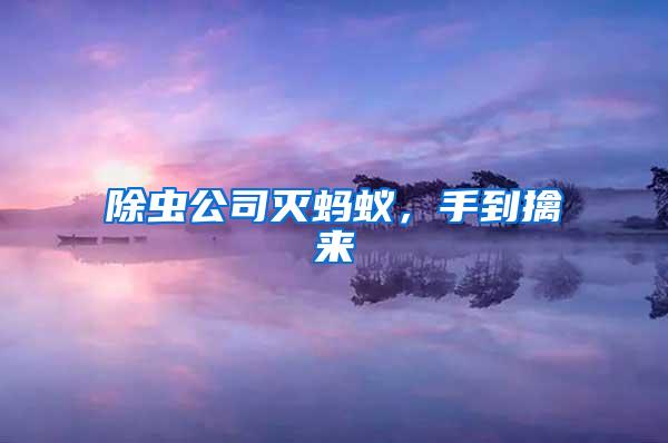 除蟲公司滅螞蟻，手到擒來