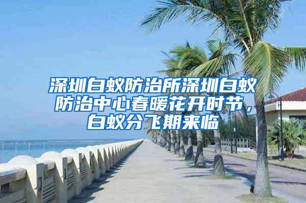 深圳白蟻防治所深圳白蟻防治中心春暖花開(kāi)時(shí)節(jié)，白蟻分飛期來(lái)臨