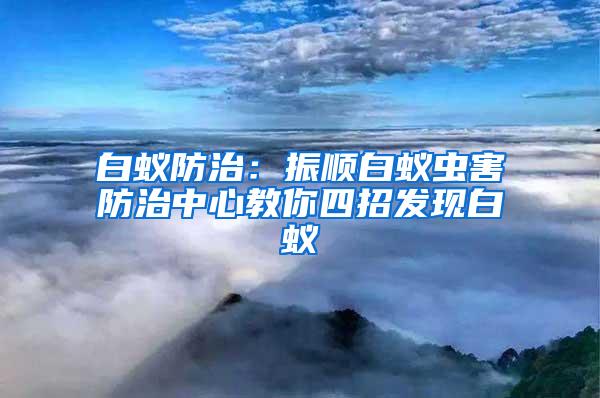 白蟻防治：振順白蟻蟲害防治中心教你四招發(fā)現(xiàn)白蟻