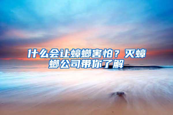 什么會(huì)讓蟑螂害怕？滅蟑螂公司帶你了解