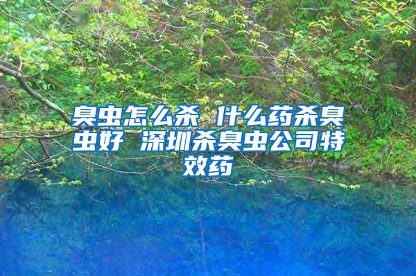 臭蟲怎么殺 什么藥殺臭蟲好 深圳殺臭蟲公司特效藥