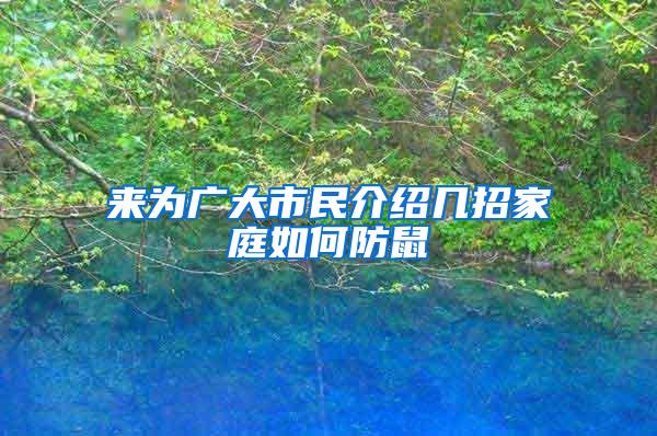 來為廣大市民介紹幾招家庭如何防鼠