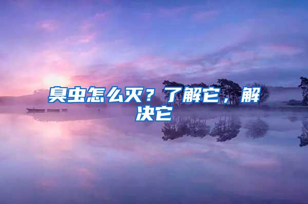 臭蟲怎么滅？了解它，解決它