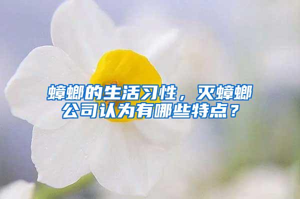 蟑螂的生活習(xí)性，滅蟑螂公司認(rèn)為有哪些特點(diǎn)？