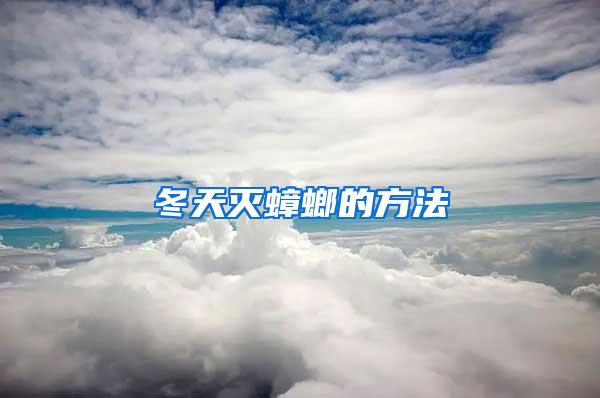 冬天滅蟑螂的方法