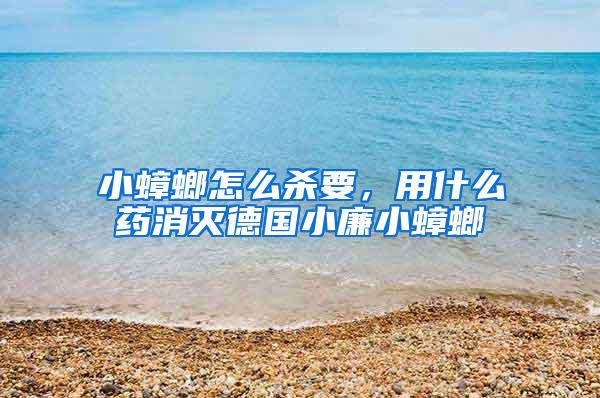 小蟑螂怎么殺要，用什么藥消滅德國(guó)小廉小蟑螂