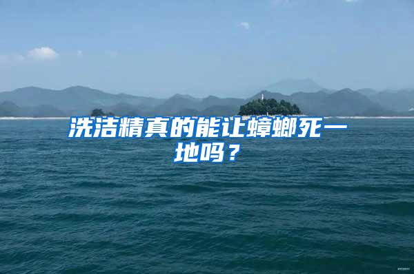 洗潔精真的能讓蟑螂死一地嗎？