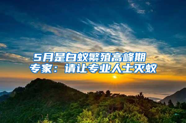 5月是白蟻繁殖高峰期 專家：請讓專業(yè)人士滅蟻